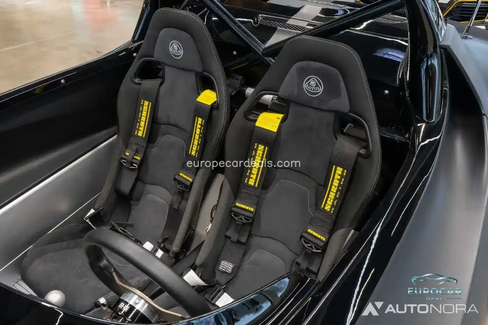 Lotus Other