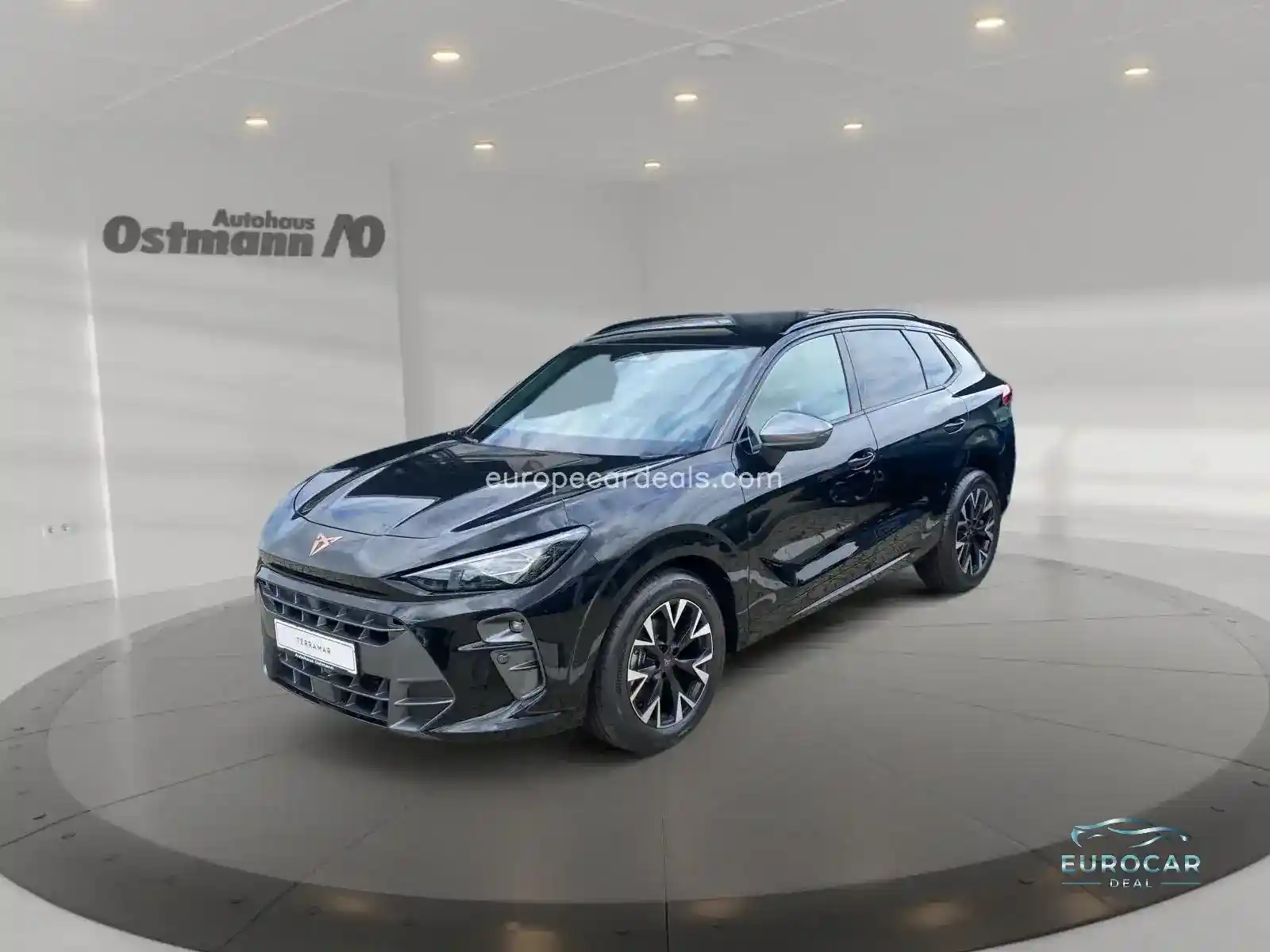 Cupra Terramar