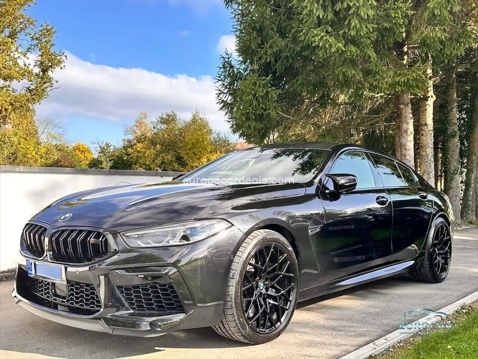 BMW M8