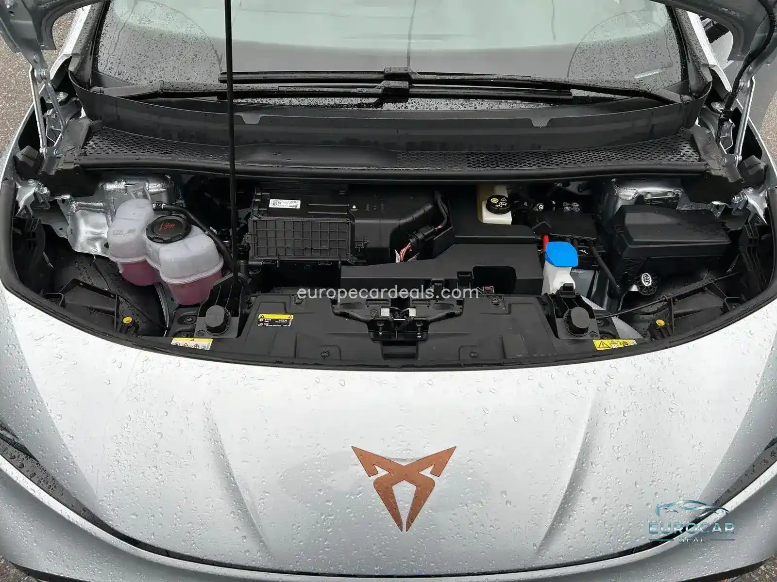 Cupra Born
