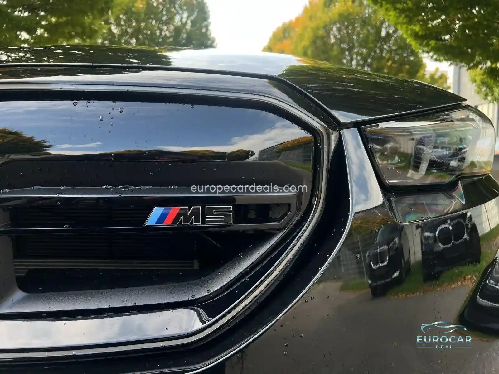 BMW M5