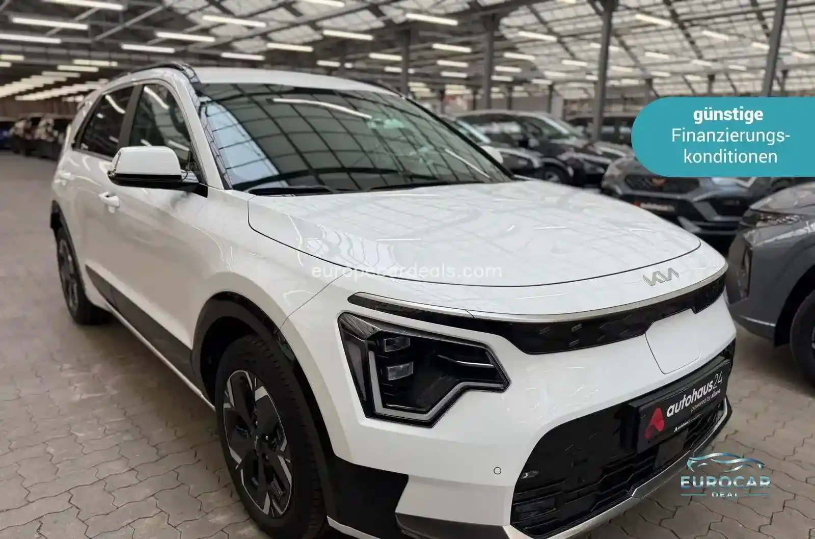 Kia Niro EV