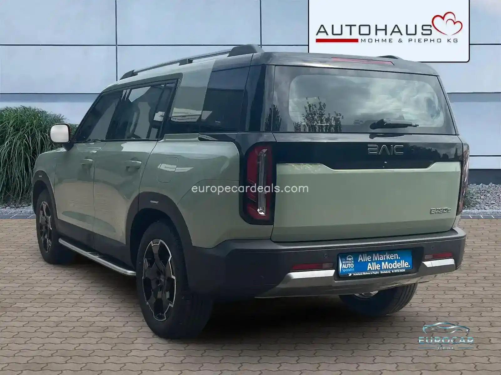 BAIC Other