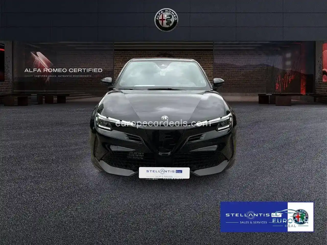 Alfa Romeo Junior