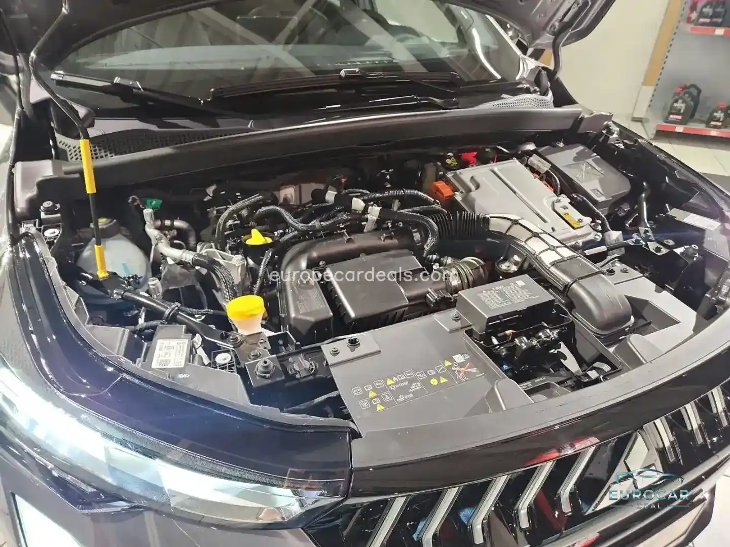 Mitsubishi Grandis