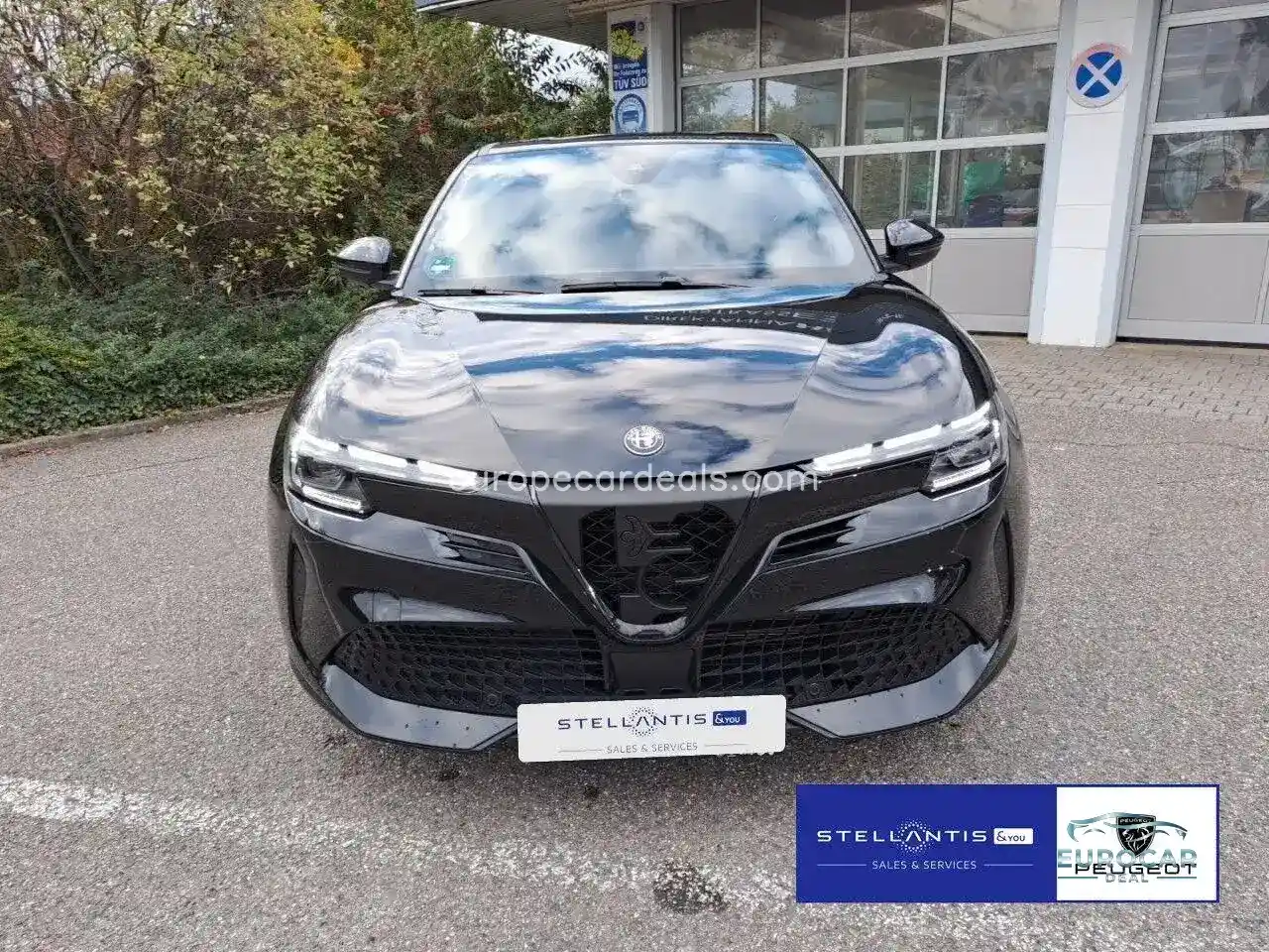 Alfa Romeo Junior