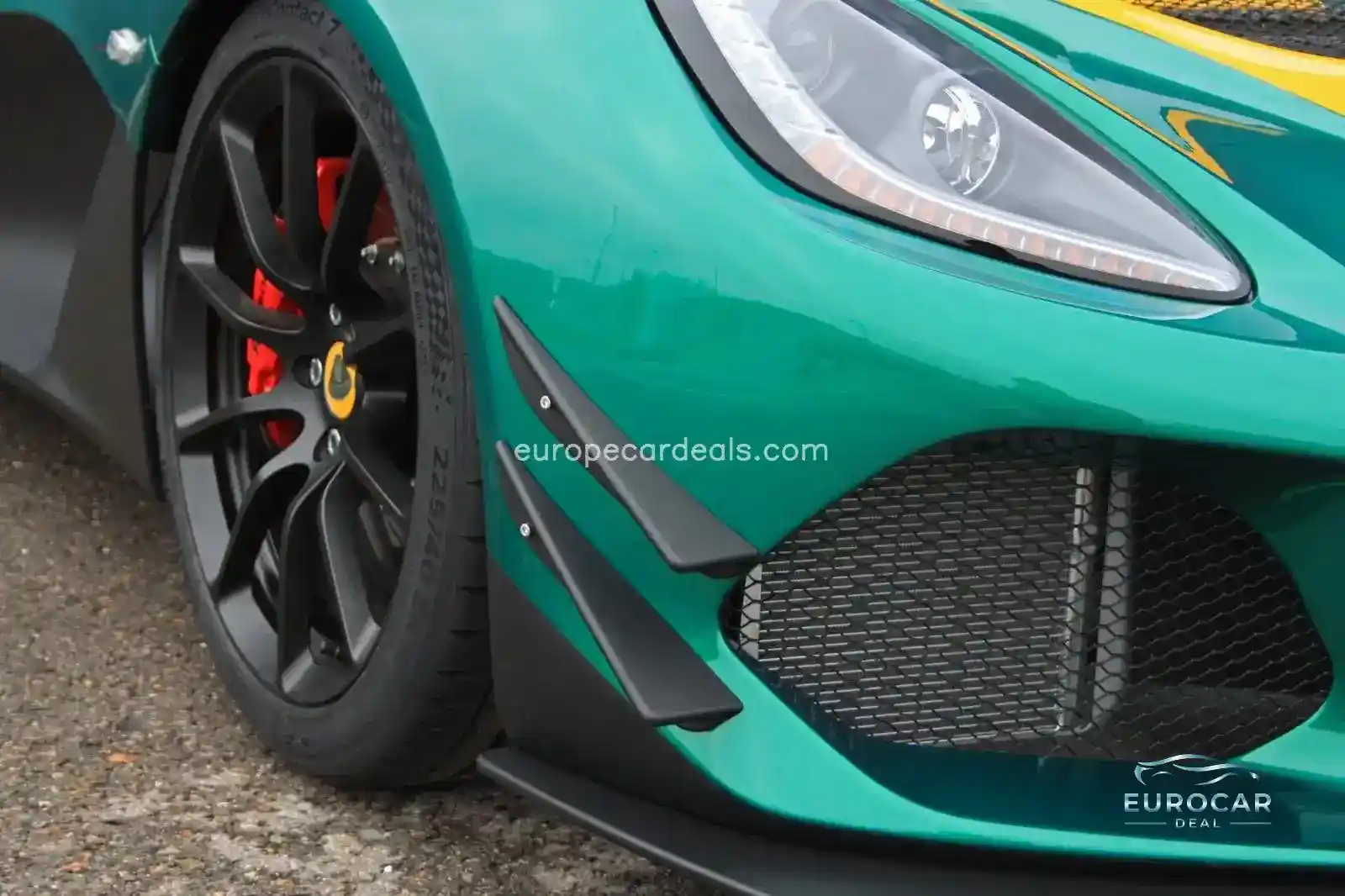 Lotus Other