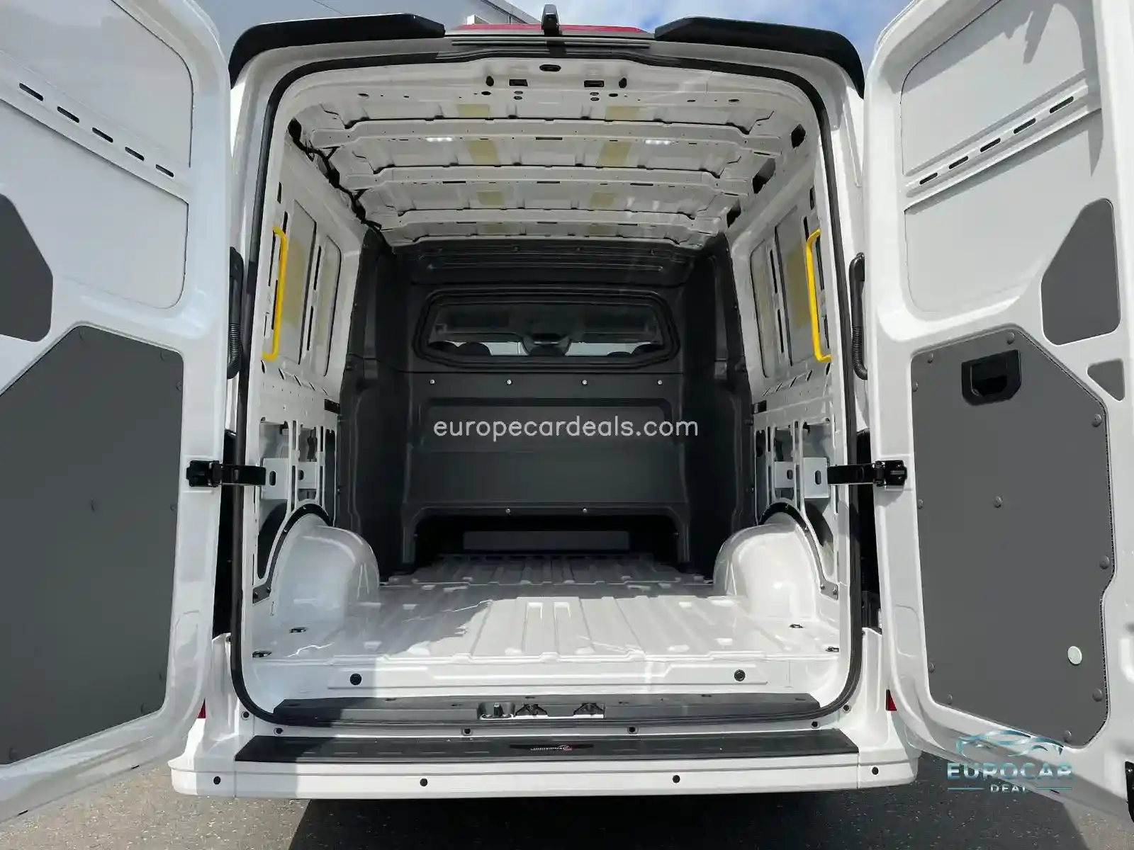MAN TGE