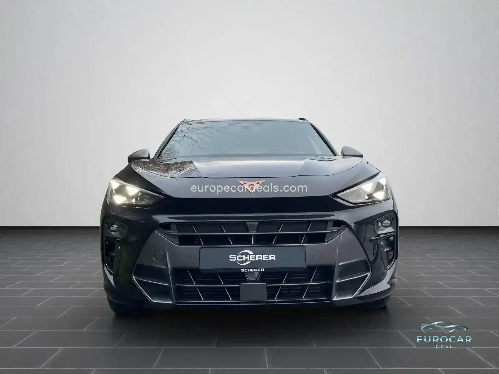 Cupra Terramar