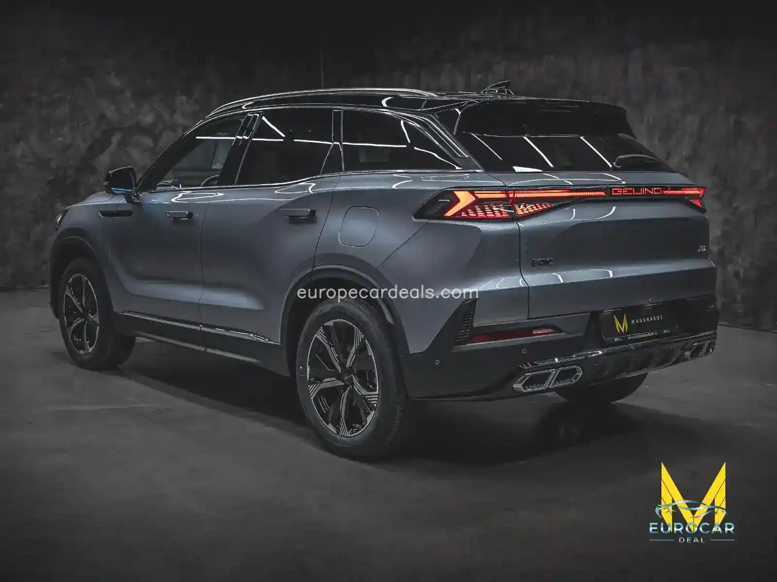 BAIC Other