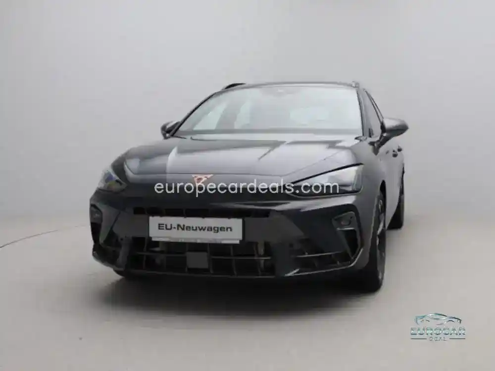 Cupra Other