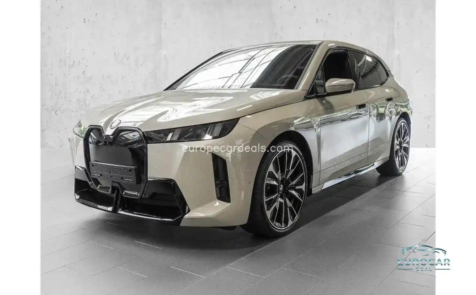 BMW iX