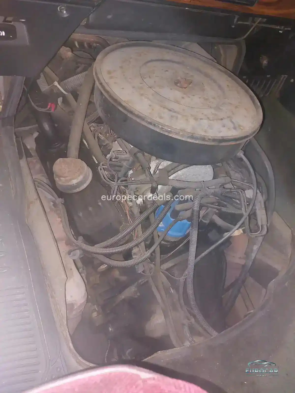 Dodge Other