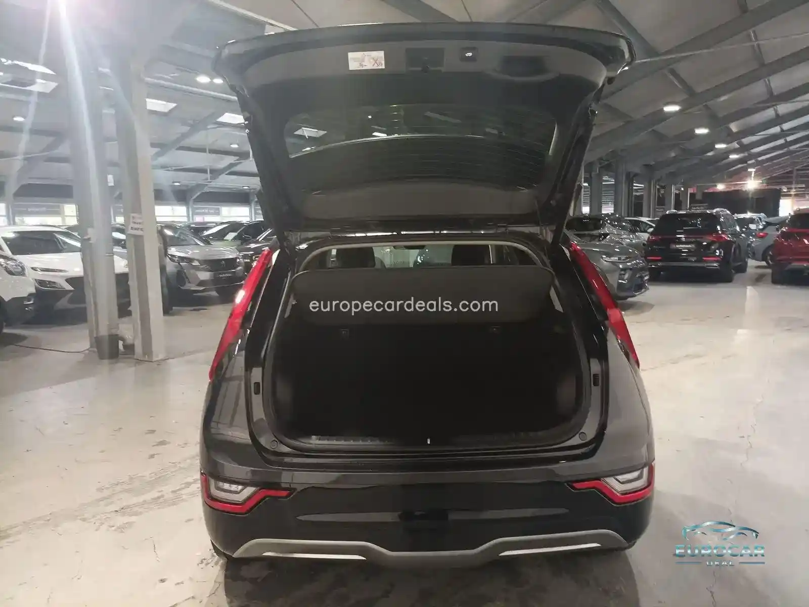 Kia Niro EV