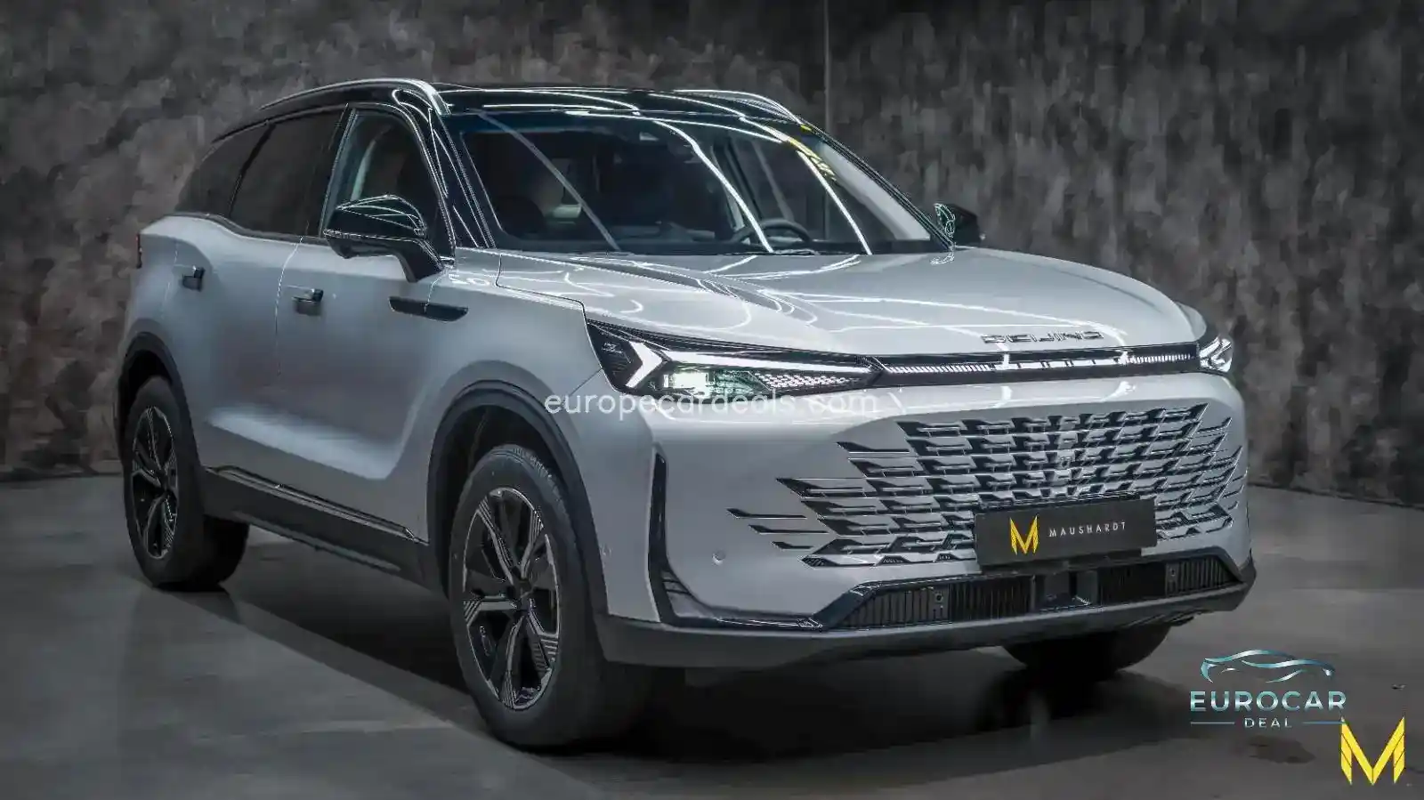 BAIC Other