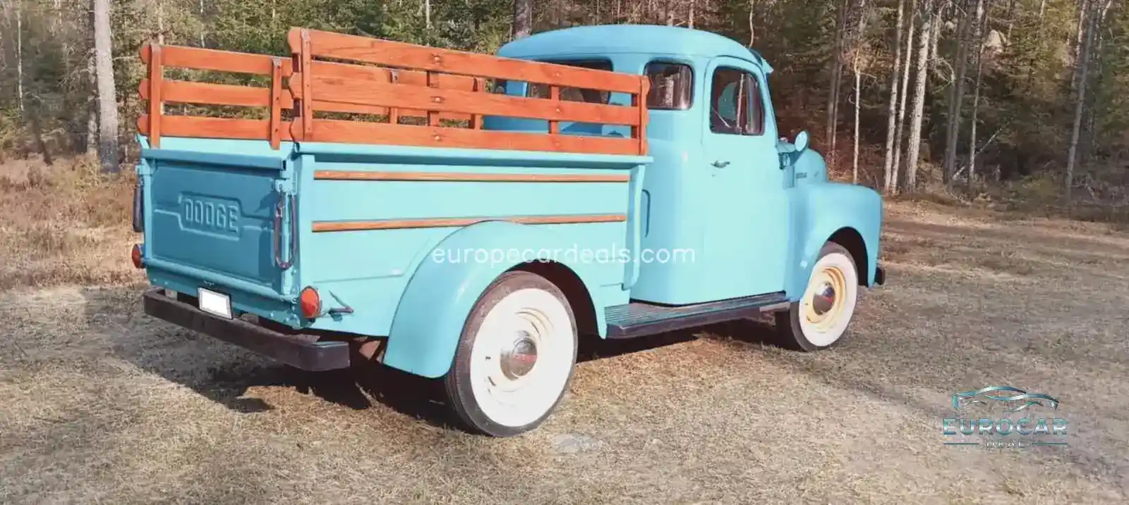 Dodge Other