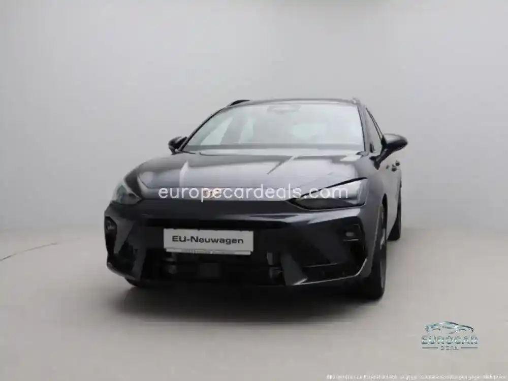 Cupra Other