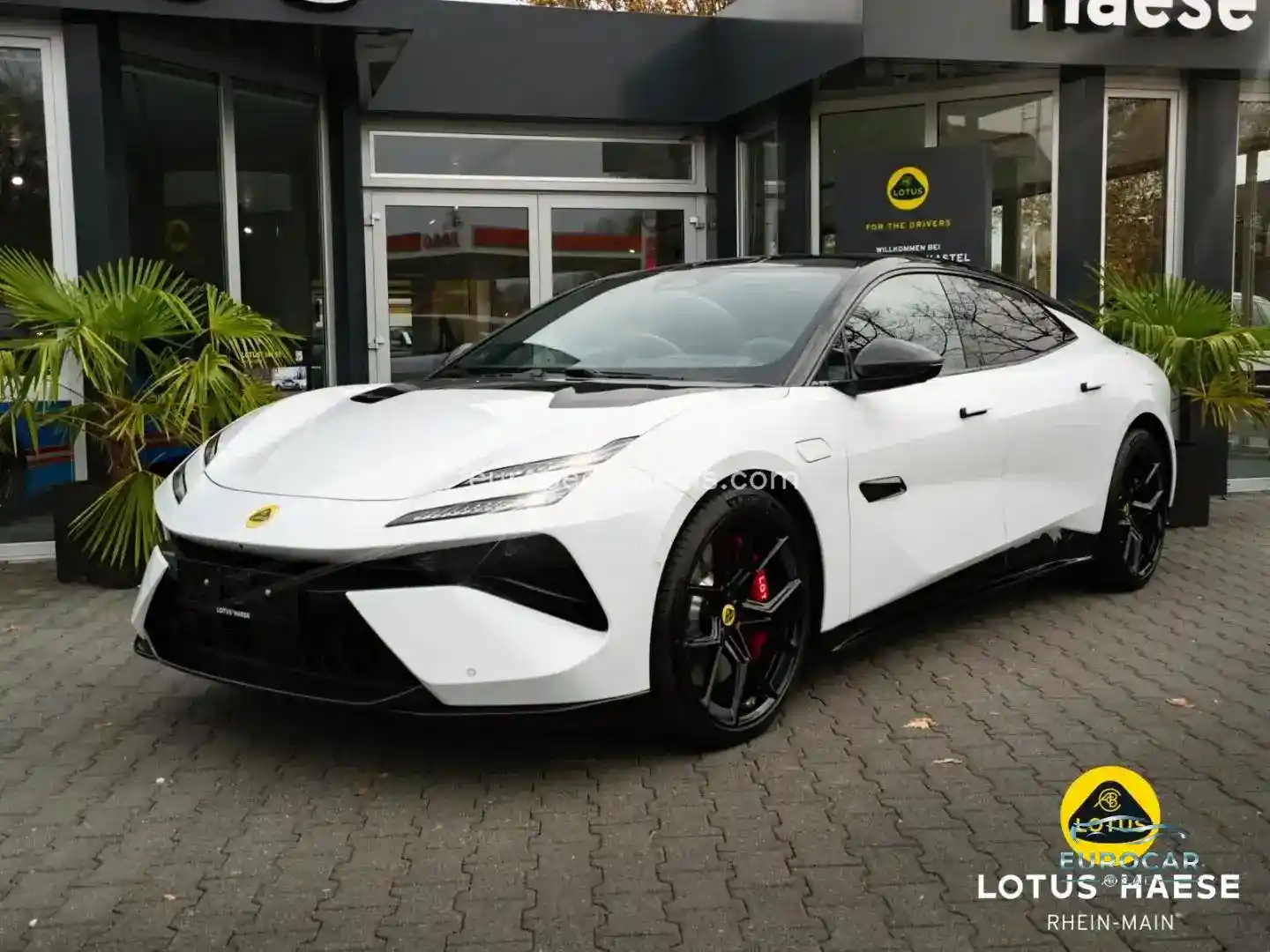 Lotus Emeya