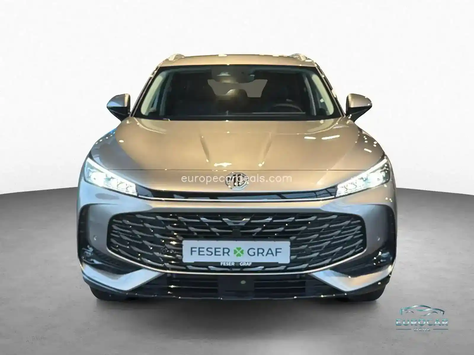MG HS