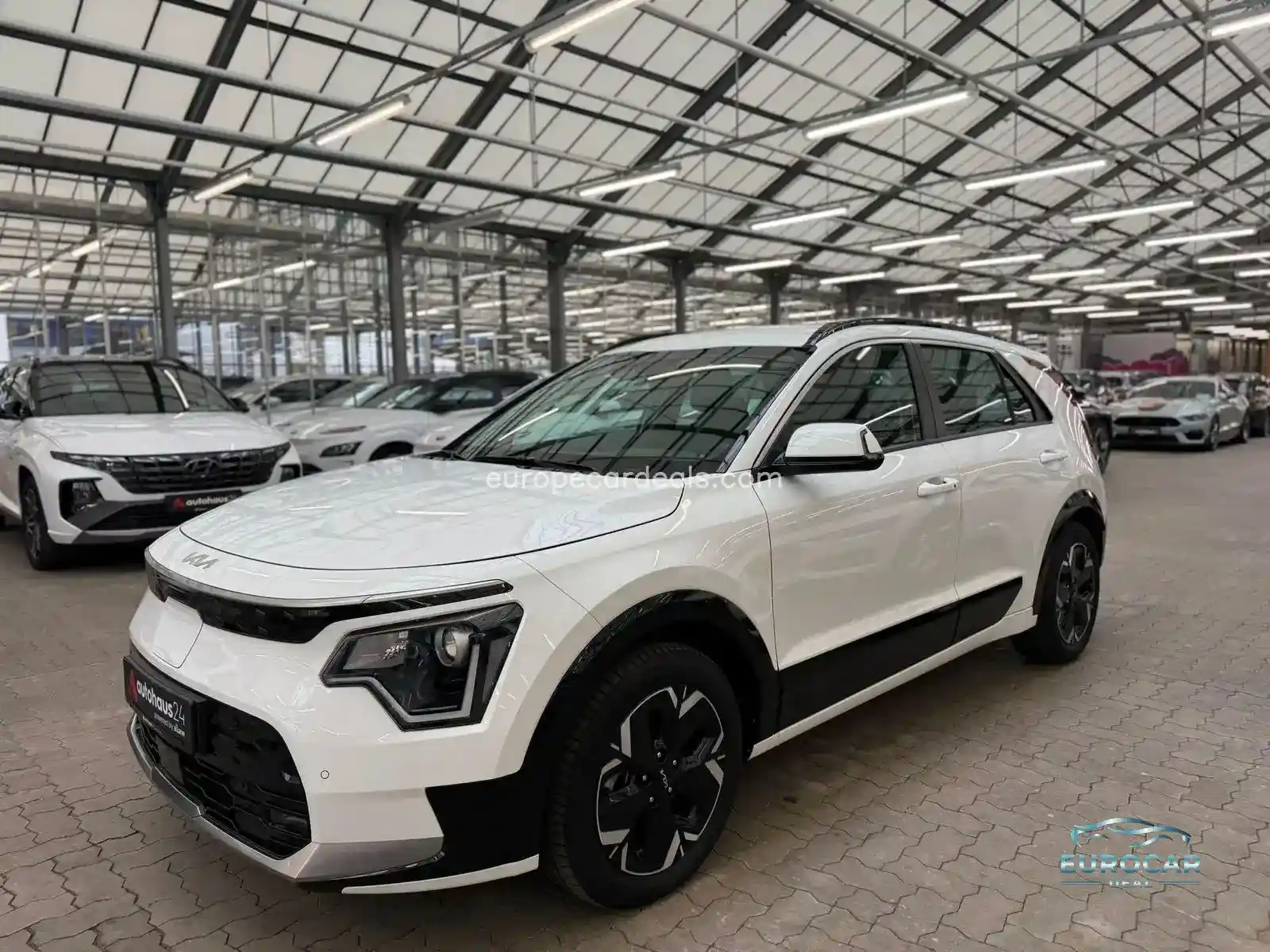 Kia Niro EV