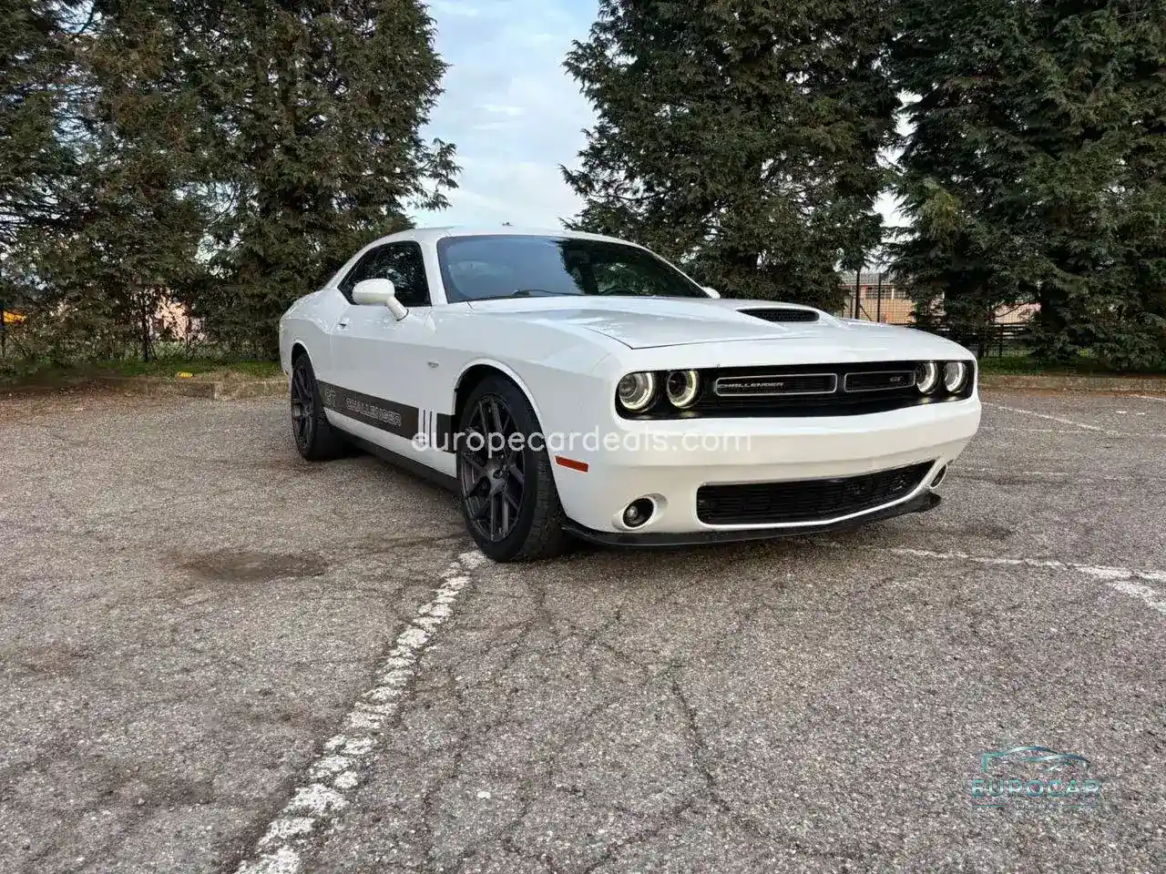 Dodge Other