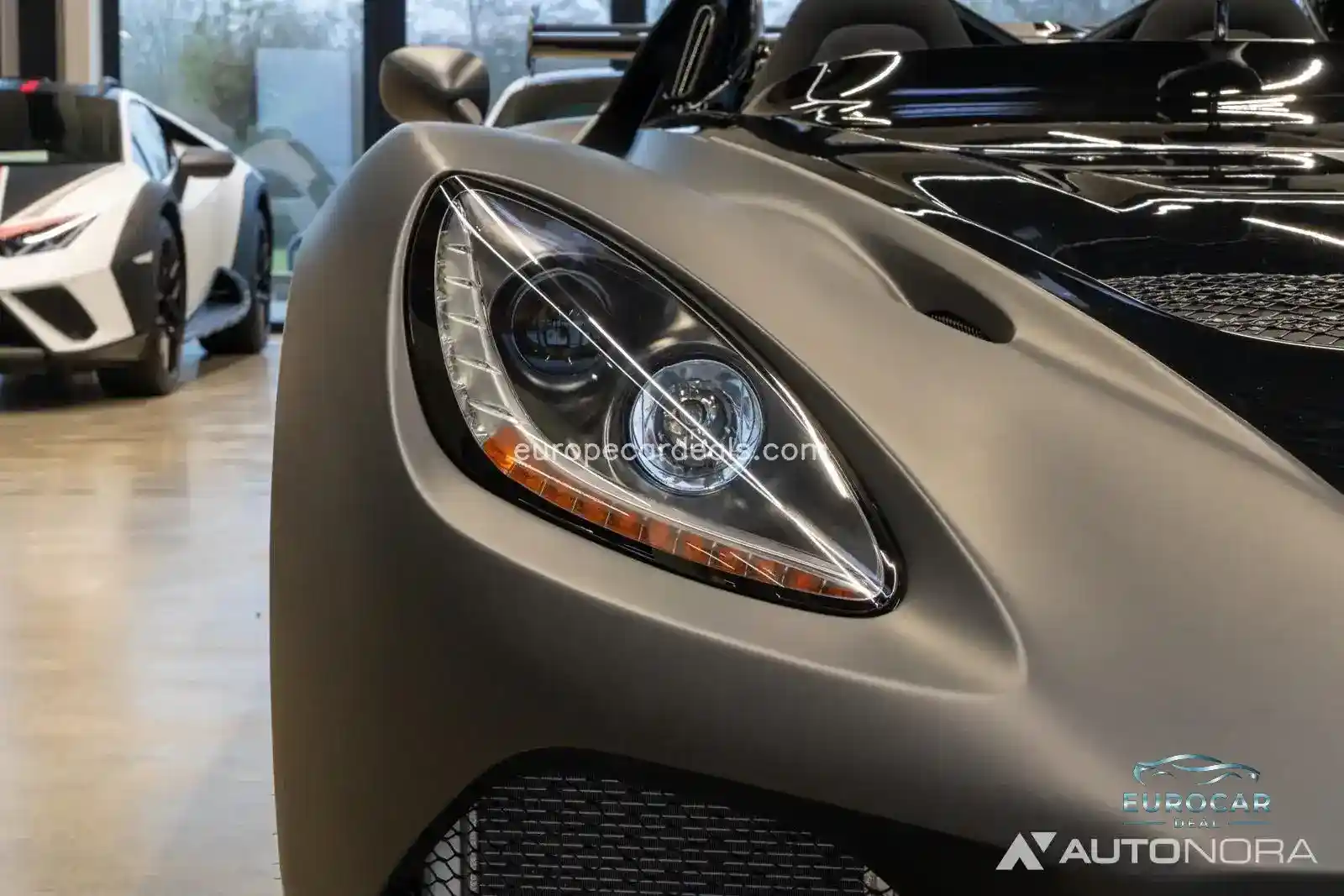 Lotus Other