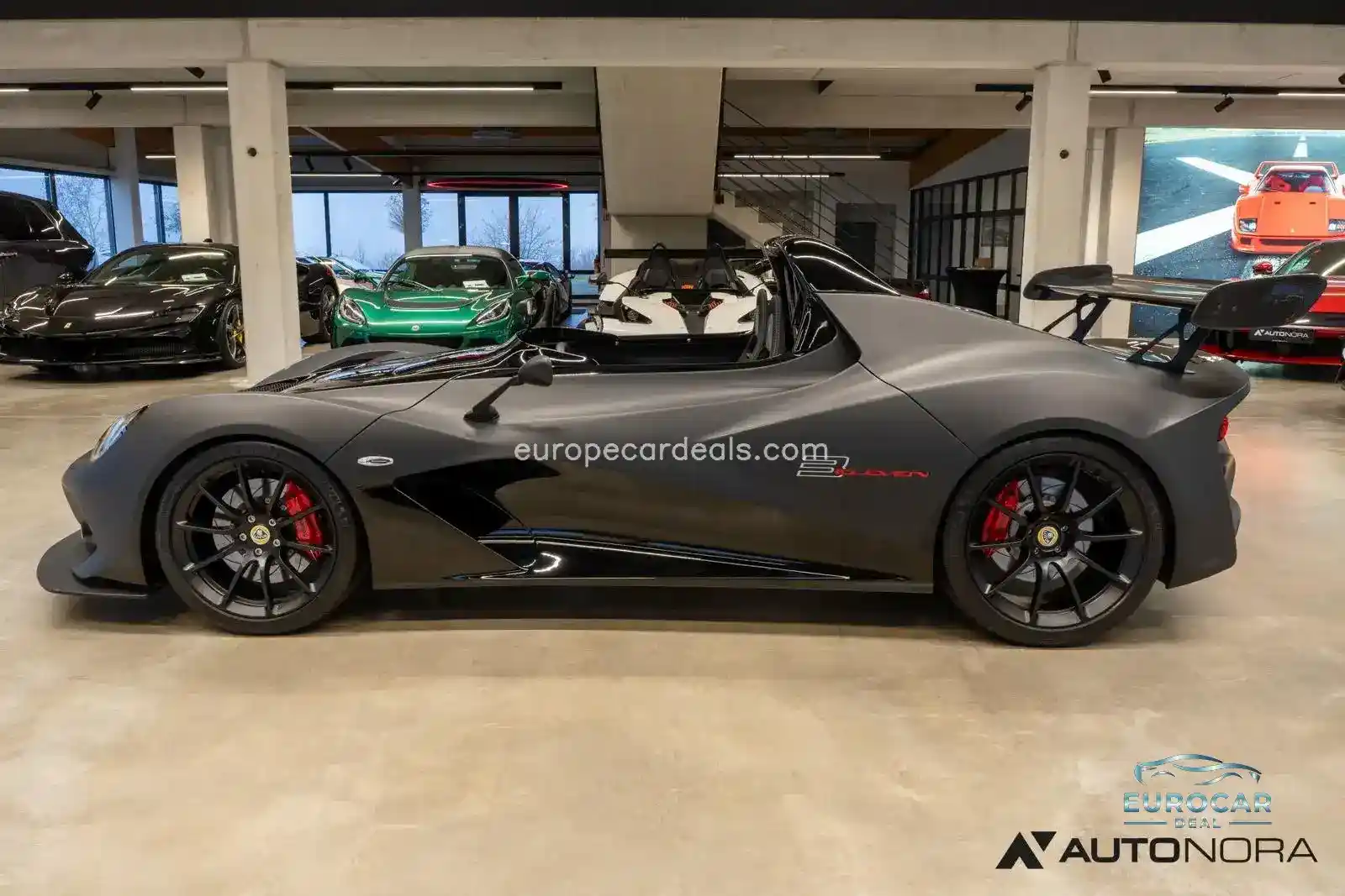 Lotus Other