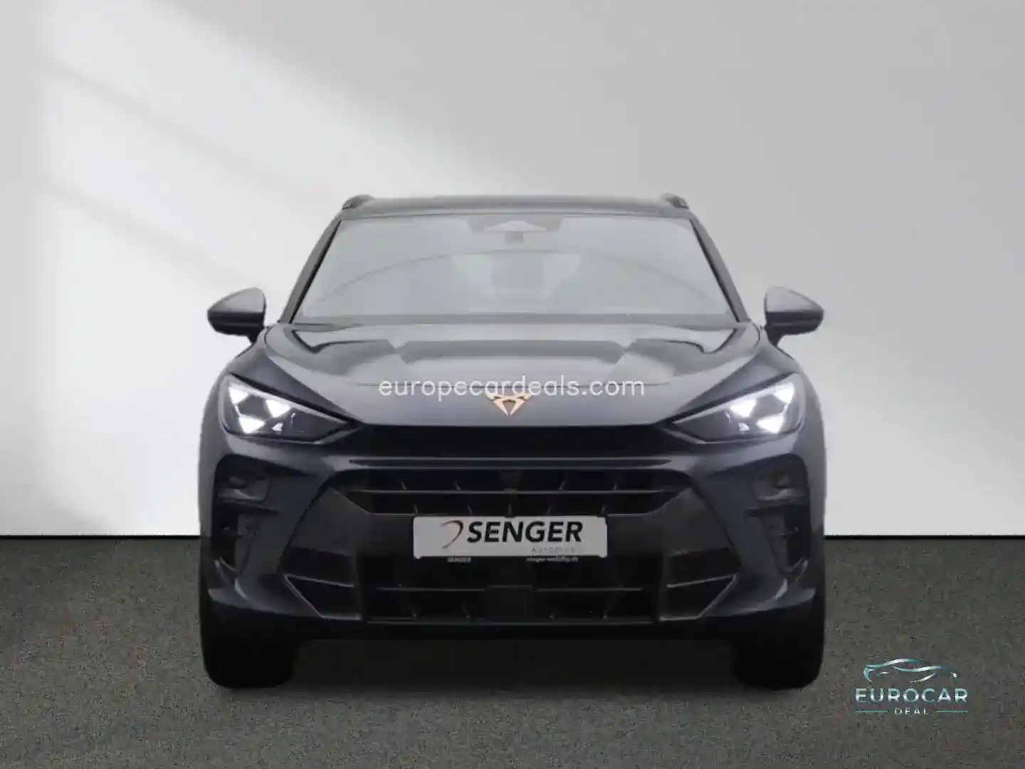 Cupra Terramar