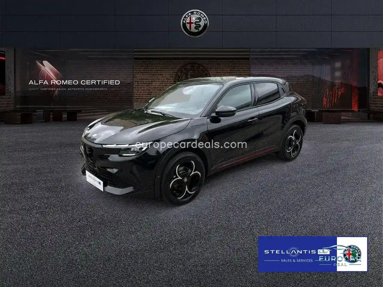 Alfa Romeo Junior