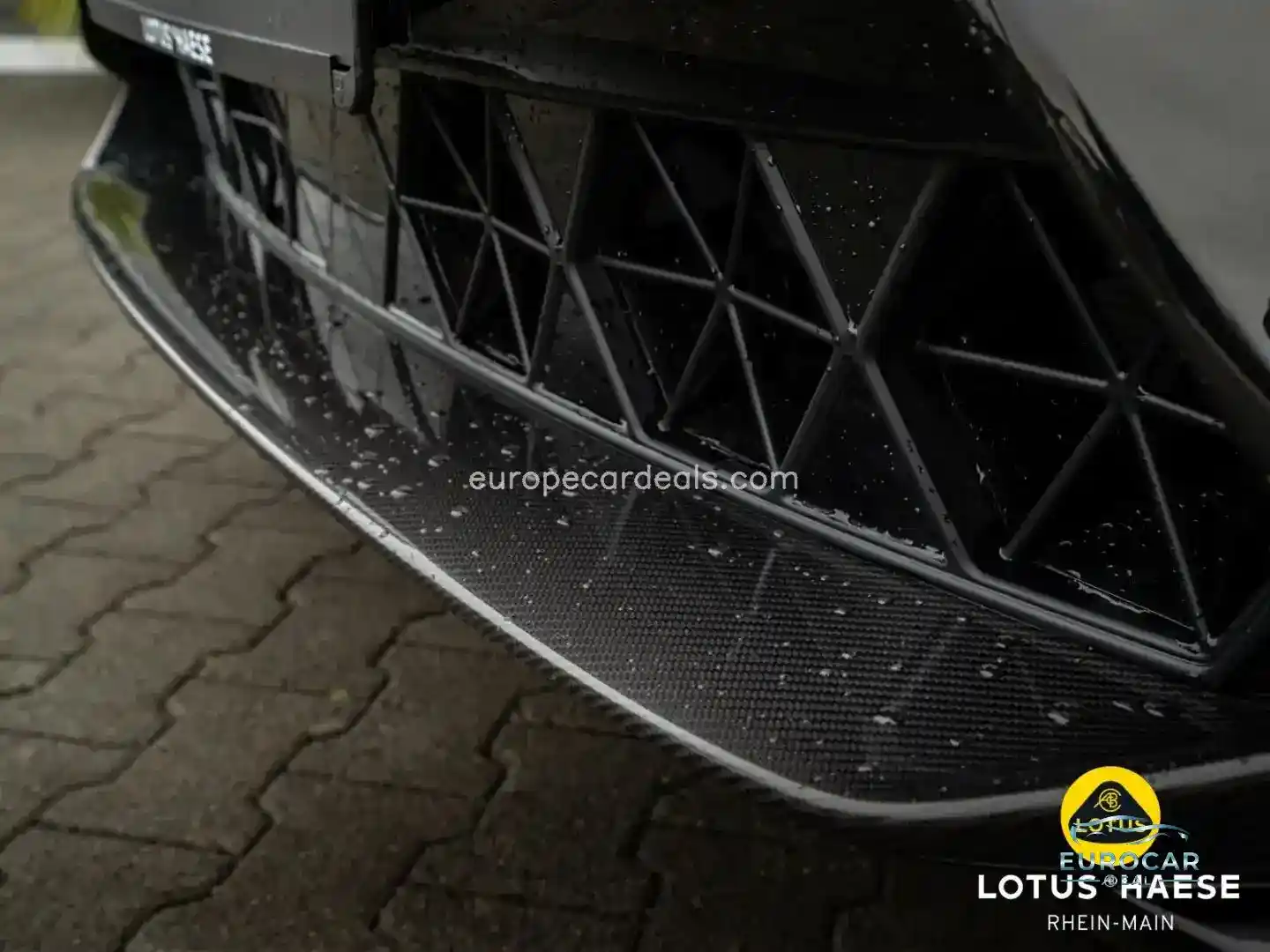 Lotus Eletre