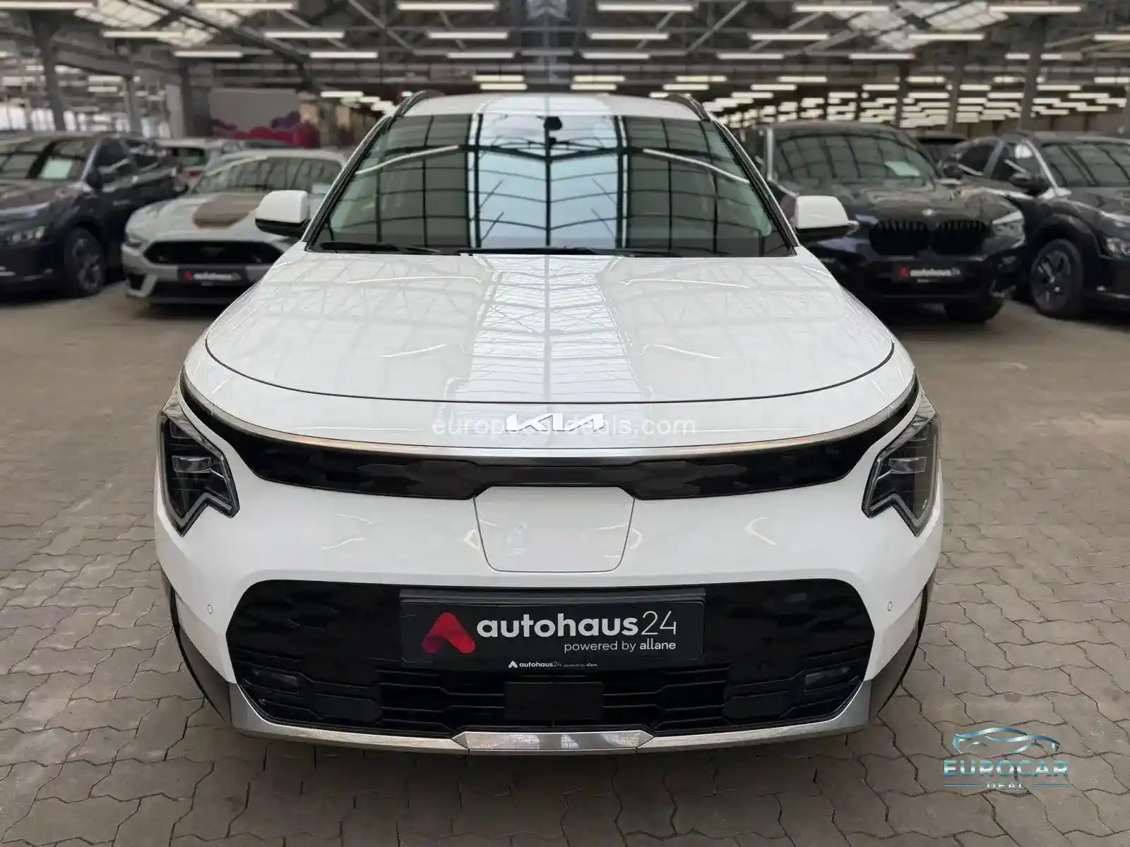 Kia Niro EV