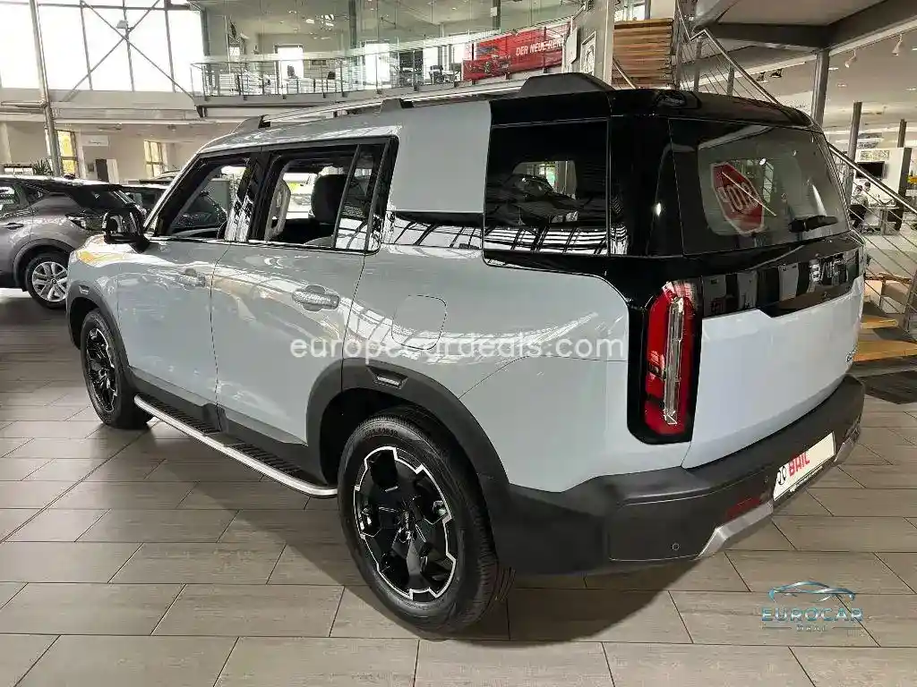 BAIC Other