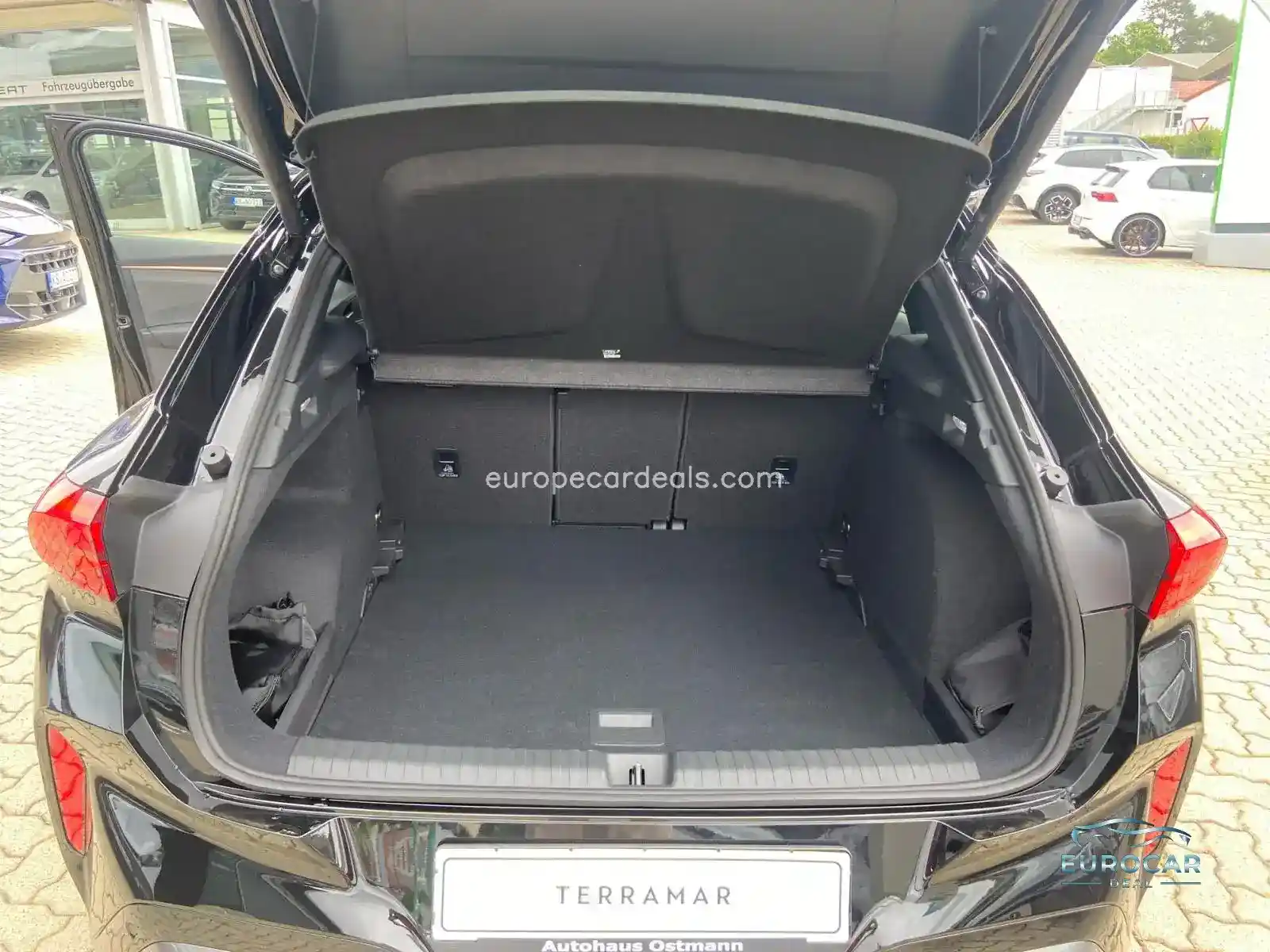 Cupra Terramar