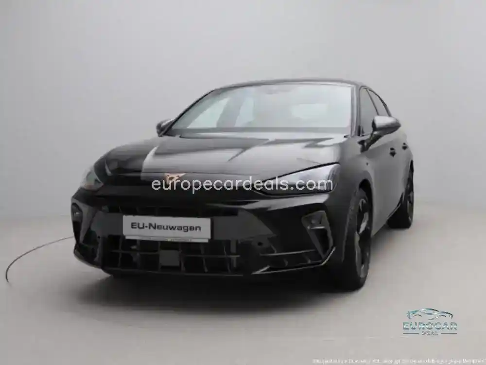 Cupra Other