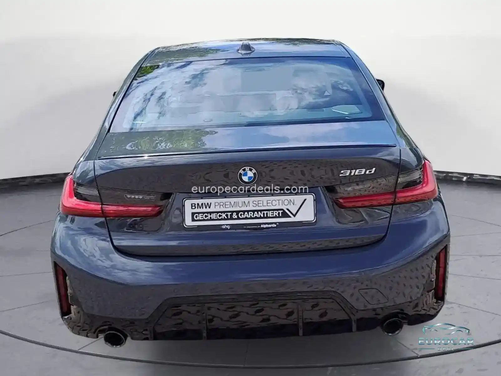BMW 318