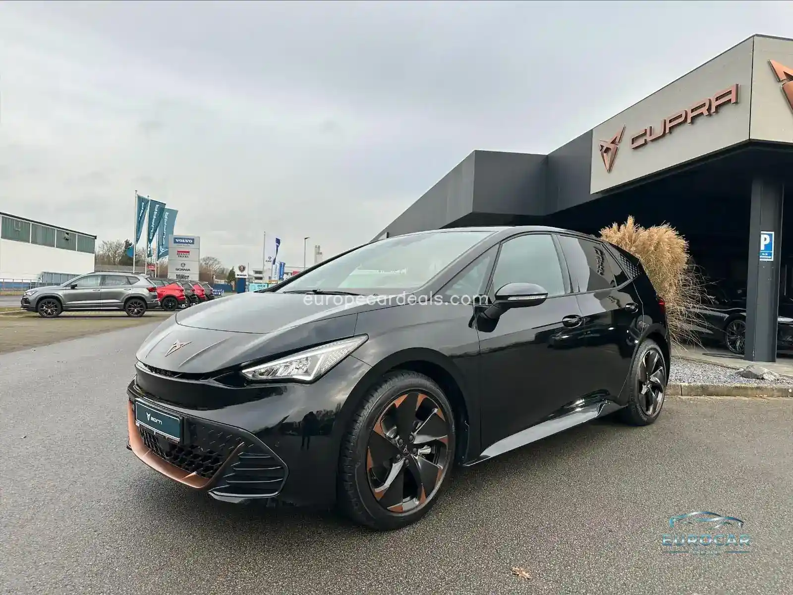 Cupra Born