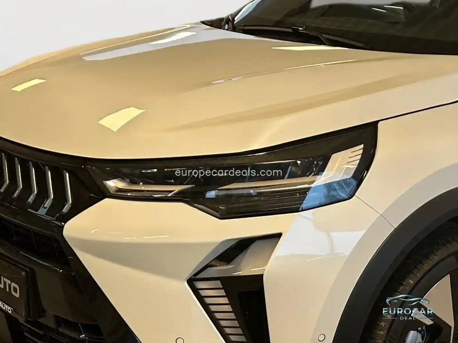 Mitsubishi Grandis