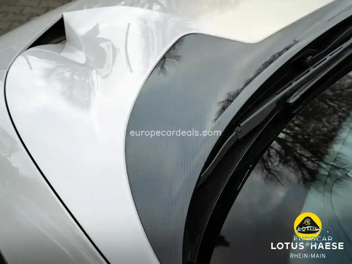 Lotus Eletre
