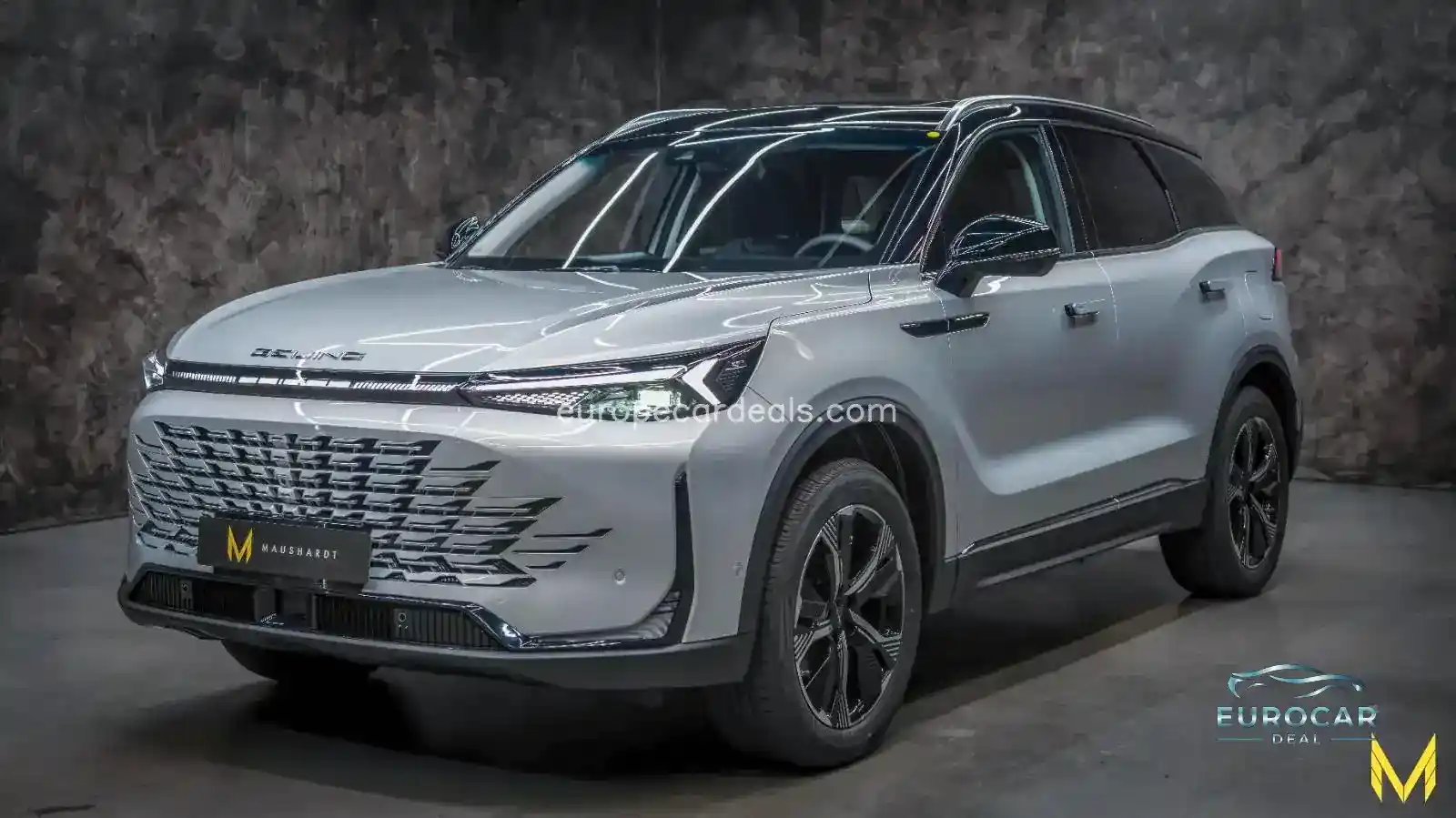 BAIC Other