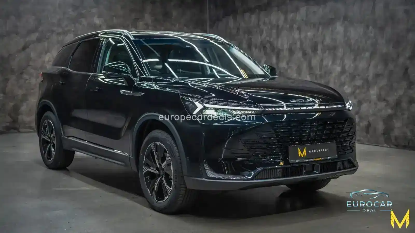 BAIC Other