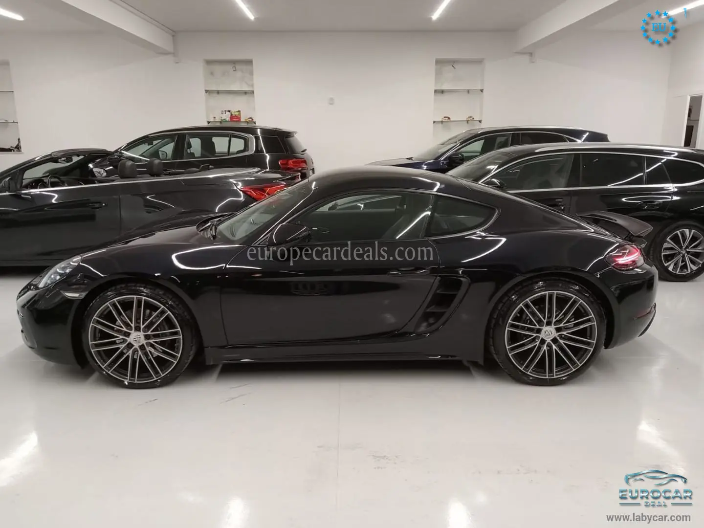 Porsche Cayman