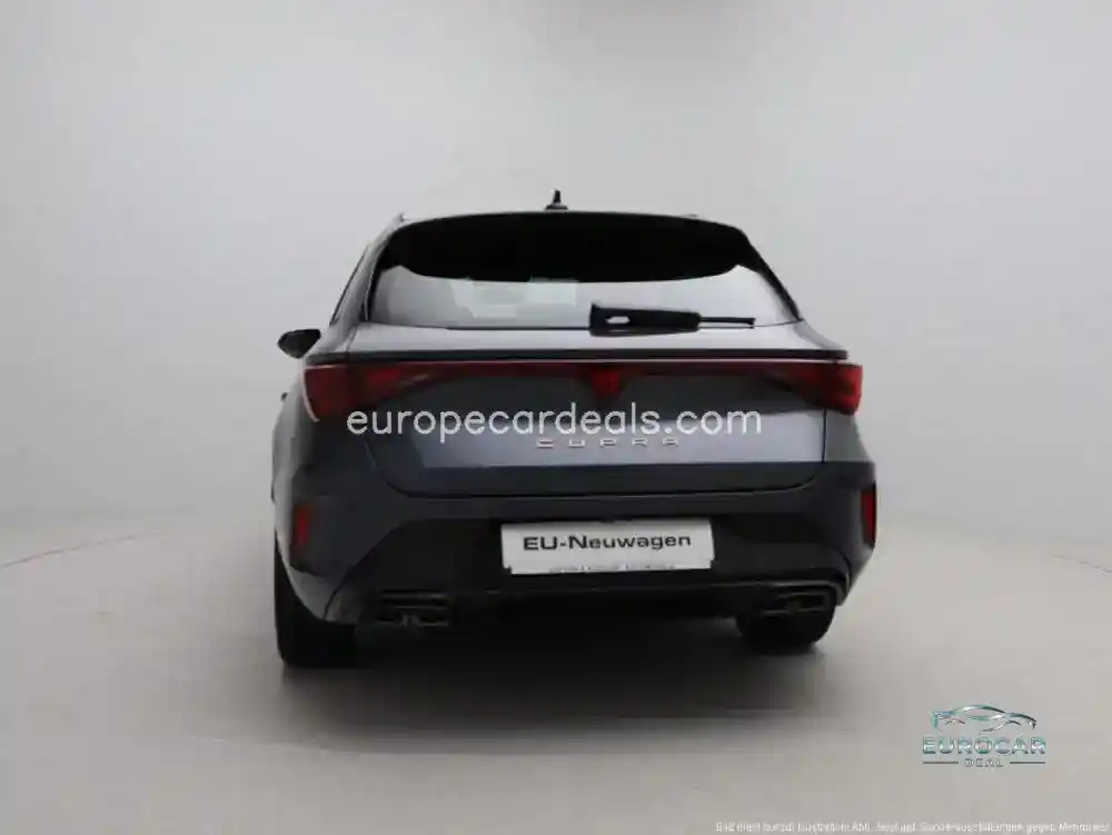 Cupra Other