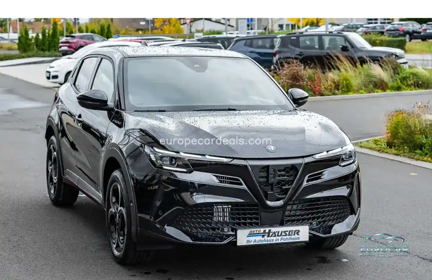 Alfa Romeo Junior