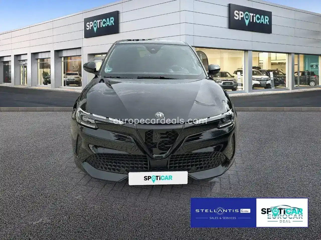 Alfa Romeo Junior