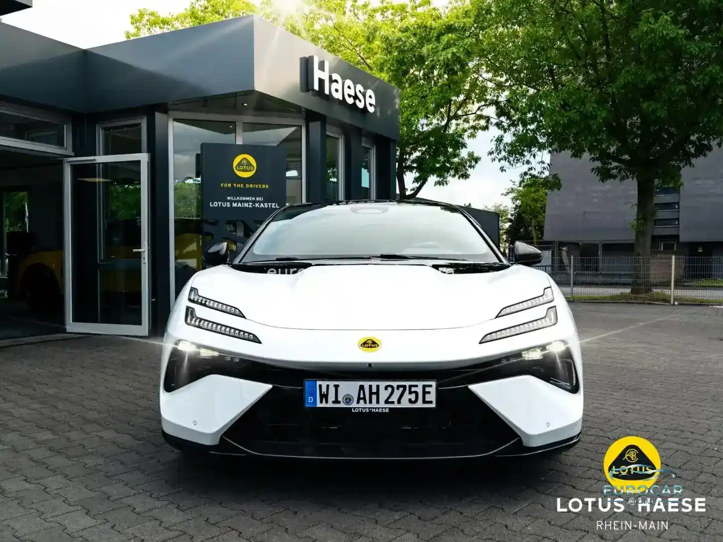 Lotus Emeya