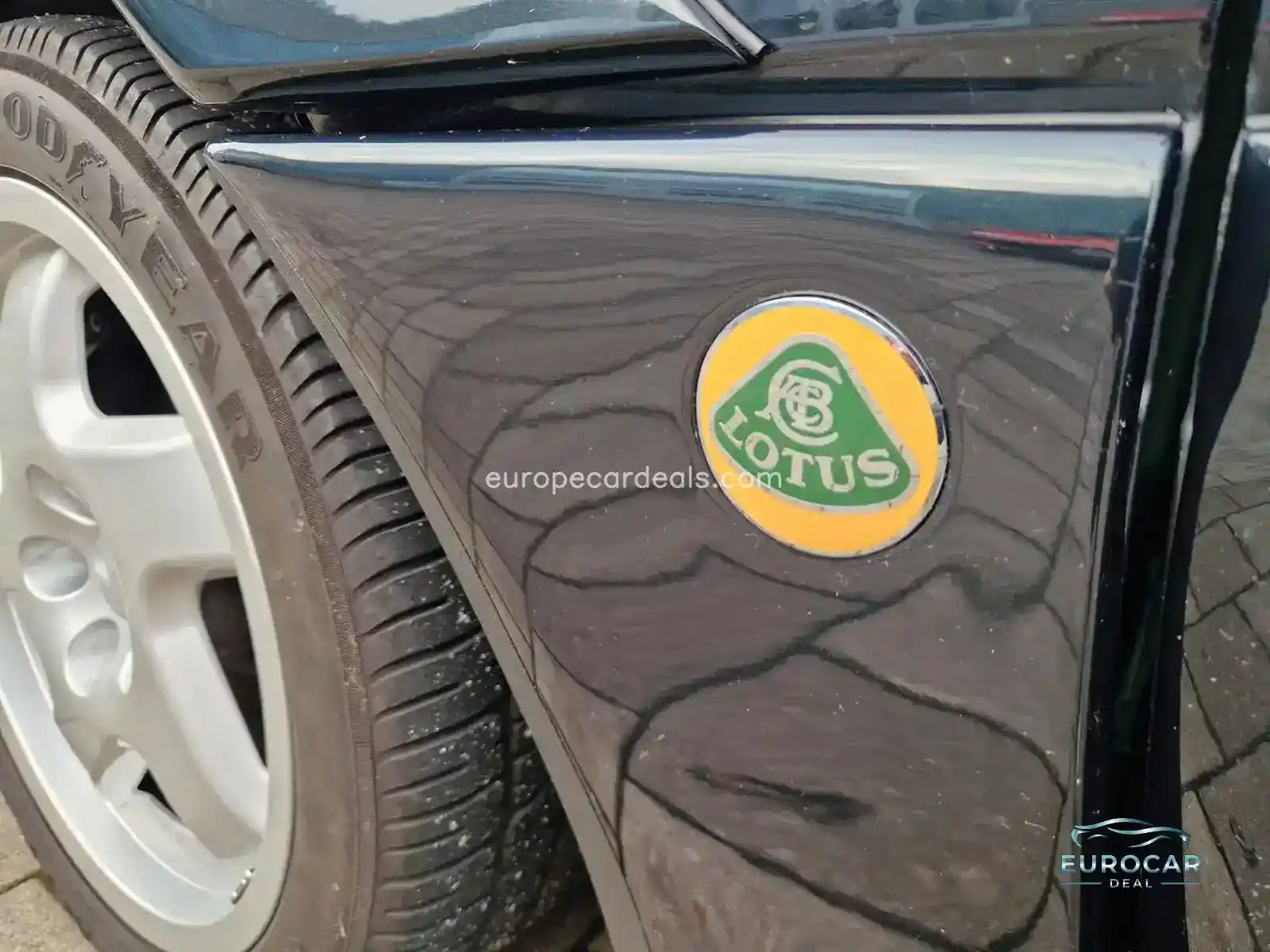Lotus Other