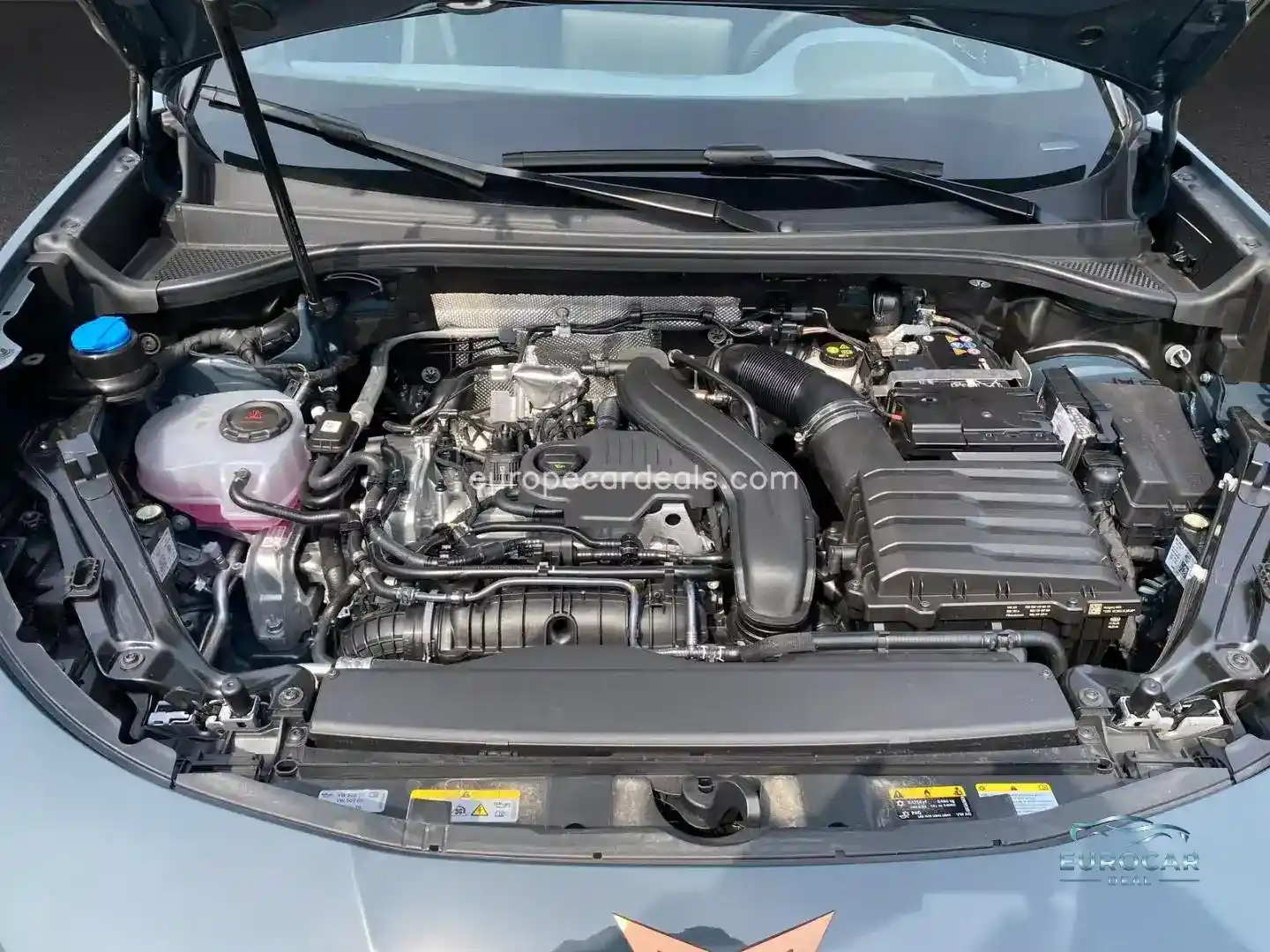Cupra Terramar