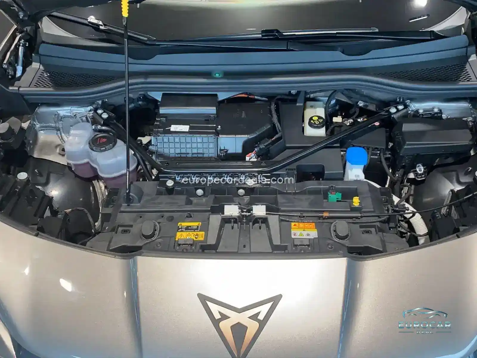 Cupra Tavascan
