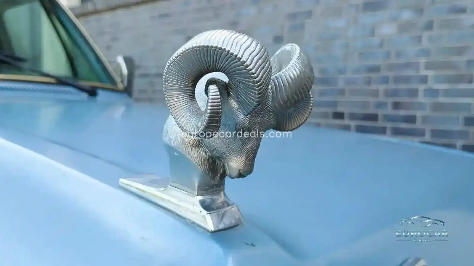 Dodge Other