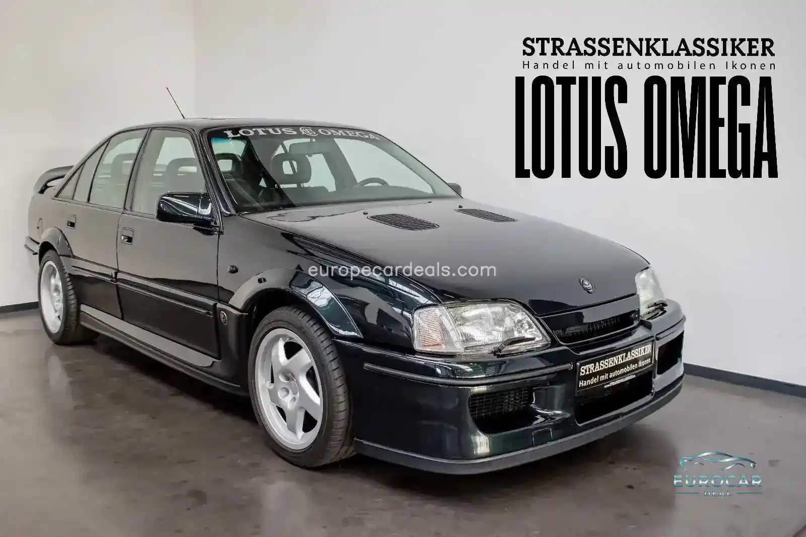Lotus Other